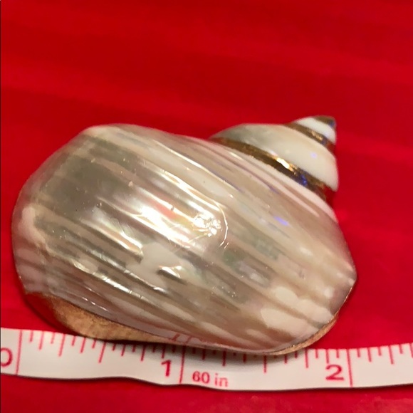 VINTAGE PEARL DOUBLE STRAND SHELL NECKLACE MERMAIDCORE - Picture 15 of 16